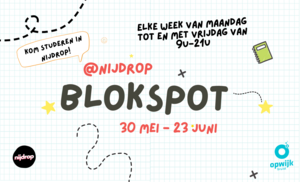 Blokspot zomerexamens