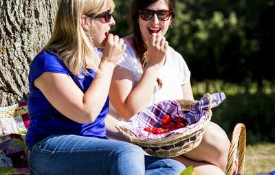 Picknick in het park