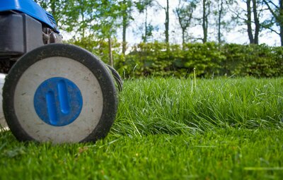 Vacature Seizoensgebonden groenonderhoud
