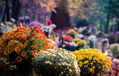 Opruiming bloemstukken en verwelkte planten aan begraafplaatsen
