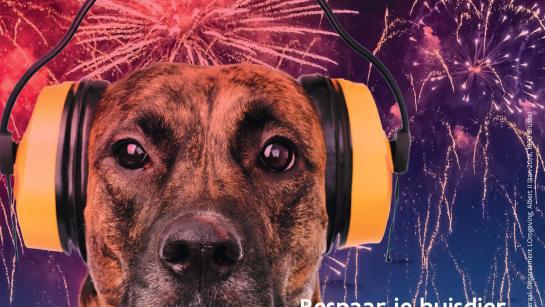 vuurwerk hond