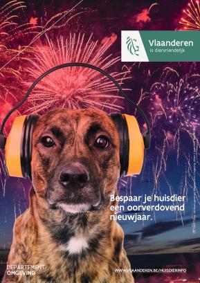 vuurwerk hond